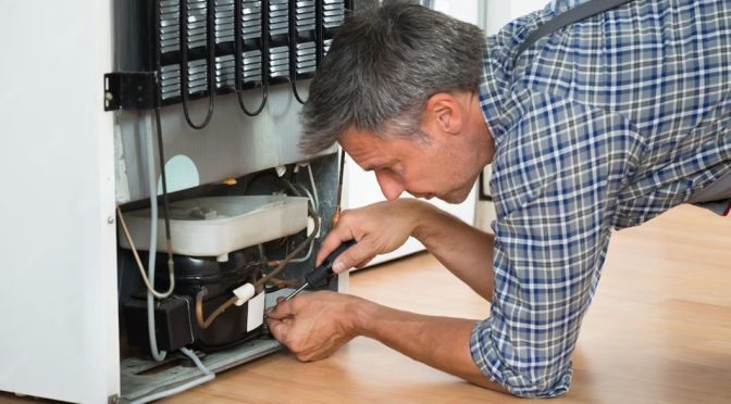professional fridge repair